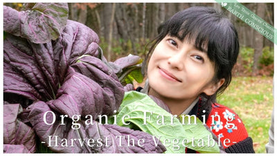 【森の暮らし】100%有機野菜遂に収穫！土の中の菌ちゃんの様子、循環型農業は未来を守る