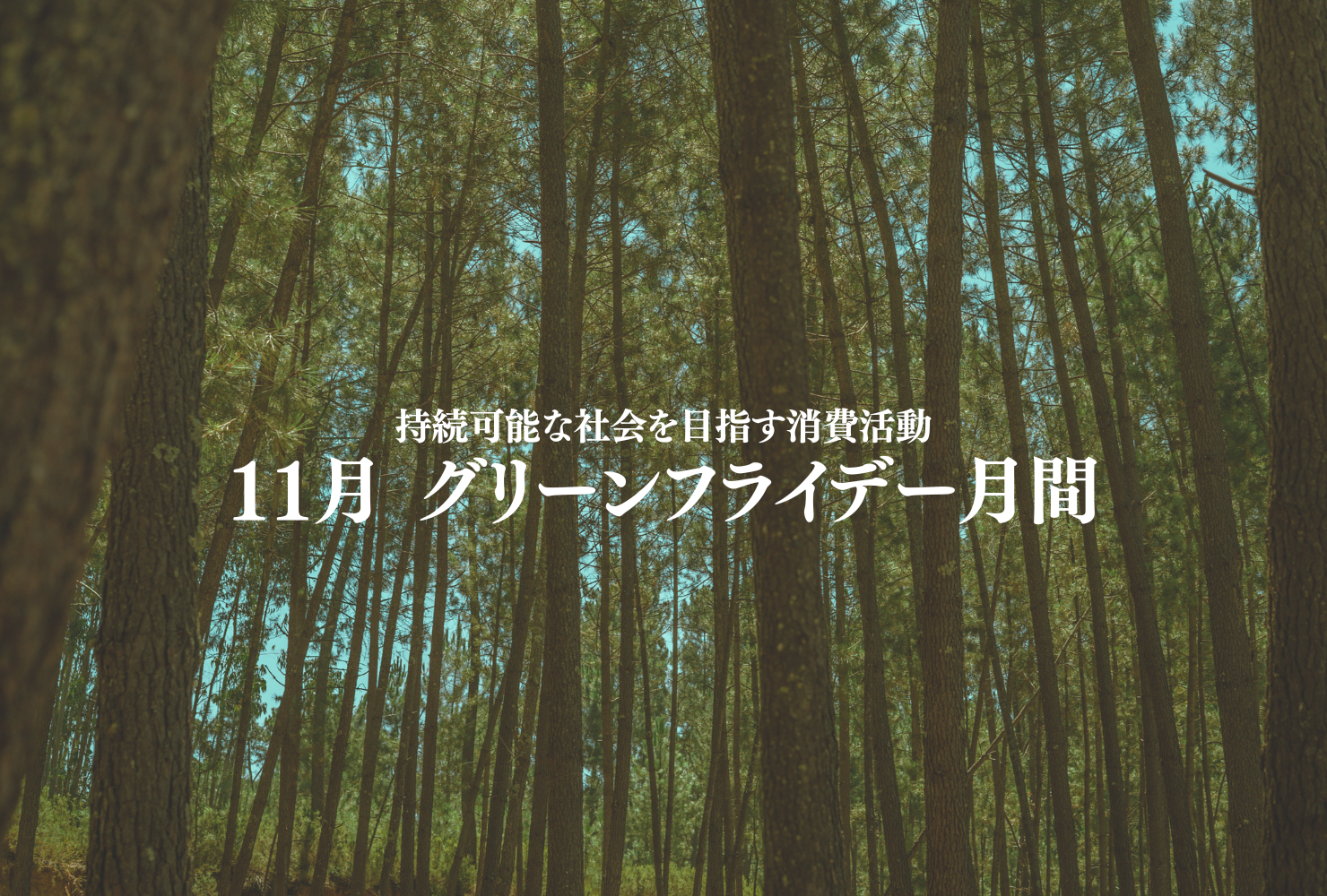 グリーンフライデー月間