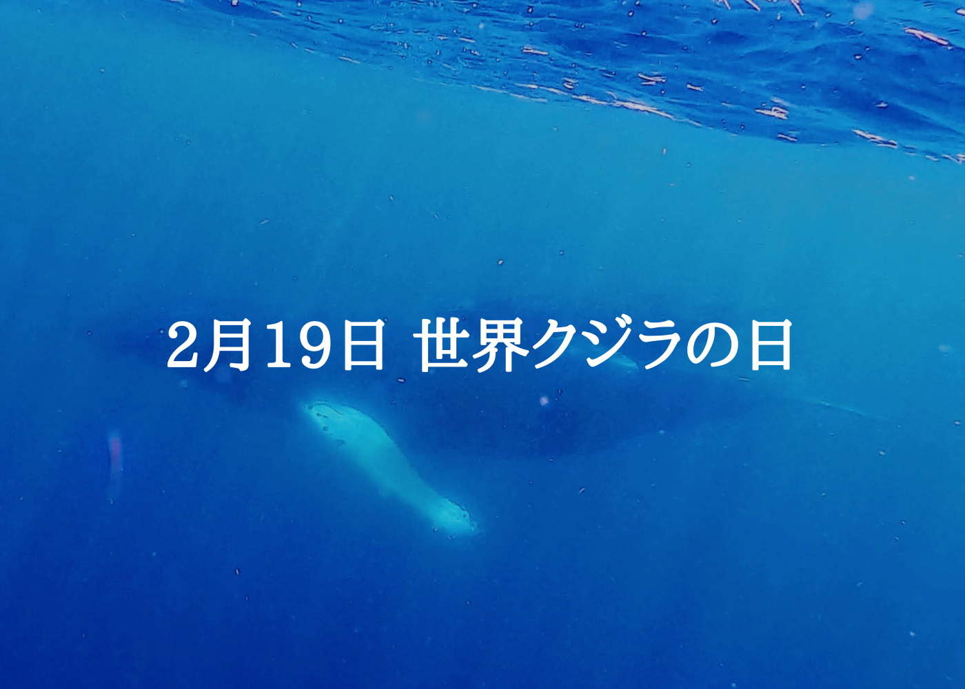 世界クジラの日
