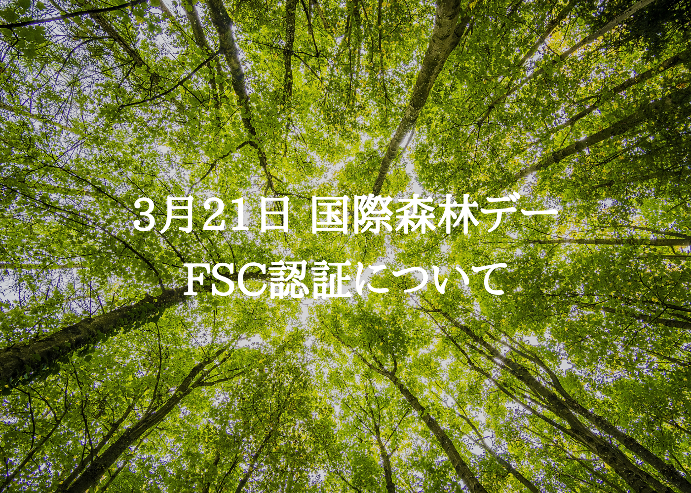 国際森林デー