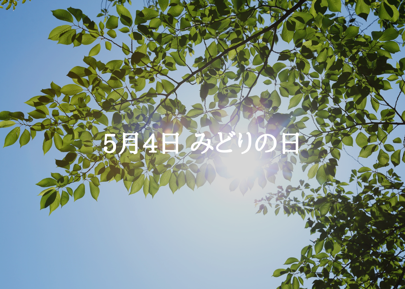 みどりの日